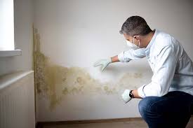 Los Fresnos, TX Mold Remediation Company